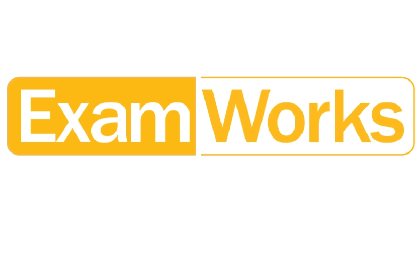EXAMWORKS Logo